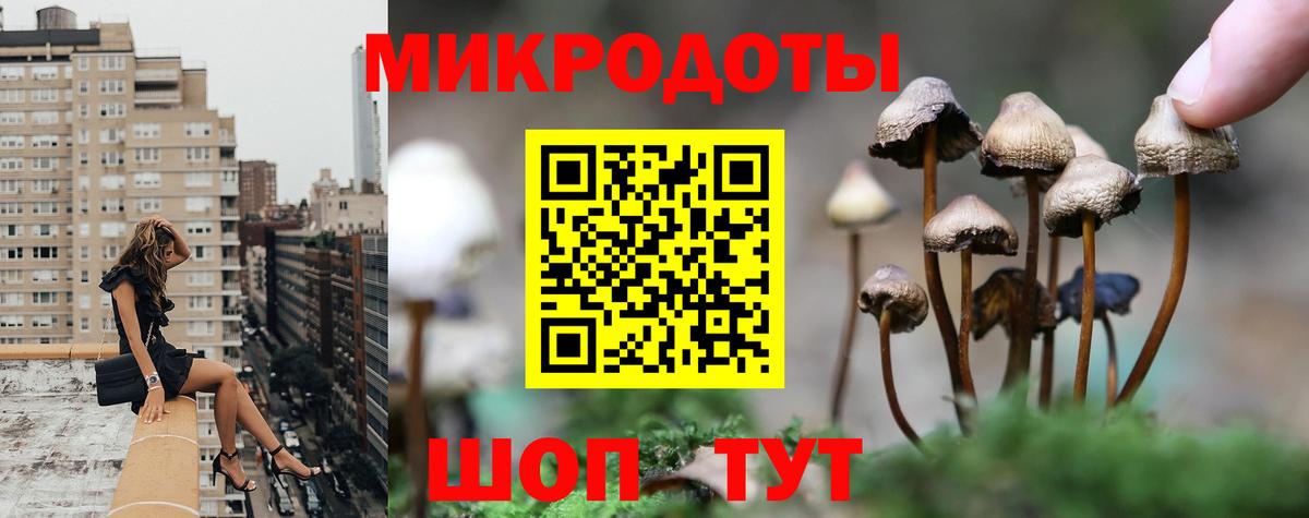 Донецк  Галлюциногенные грибы мицелий  Вход с VPN  Псилоцибиновые грибы мухоморы 